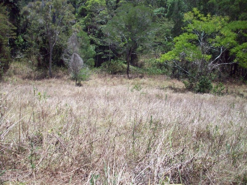 Cedar Pocket QLD 4570