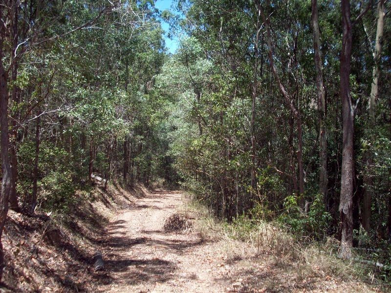 Cedar Pocket QLD 4570