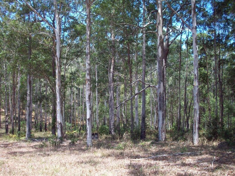 Wolvi QLD 4570