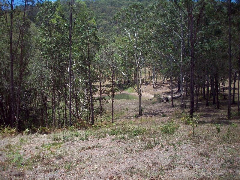 Wolvi QLD 4570