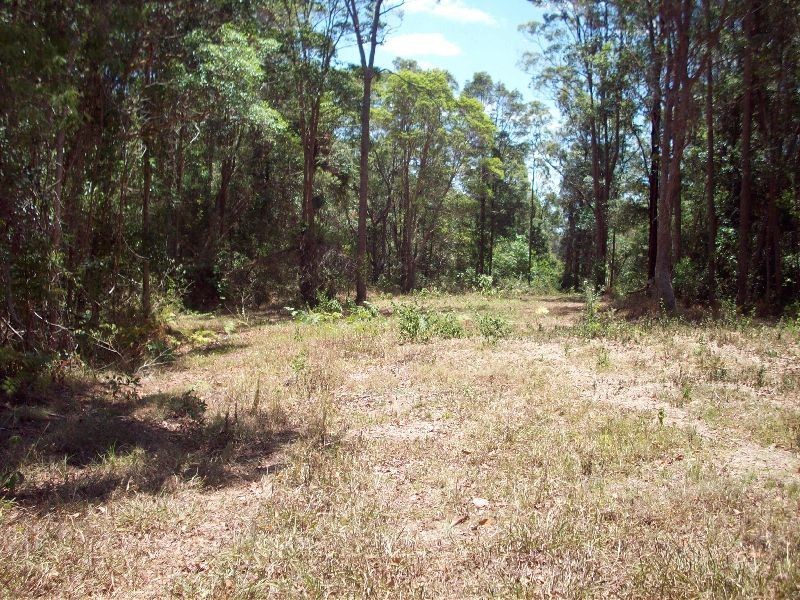 Wolvi QLD 4570