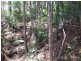 Wolvi QLD 4570