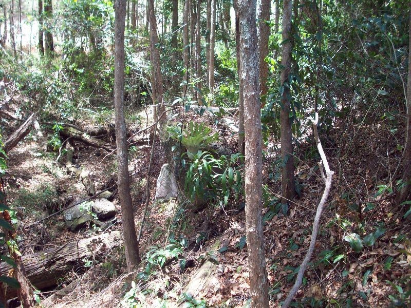 Wolvi QLD 4570