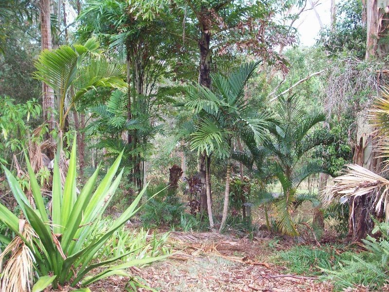 Cedar Pocket QLD 4570