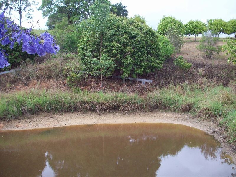 Cedar Pocket QLD 4570