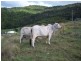Gunalda QLD 4570