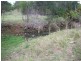 Gunalda QLD 4570