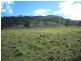 Gunalda QLD 4570
