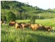 Mcintosh Creek QLD 4570