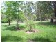 Tamaree QLD 4570