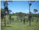 Amamoor QLD 4570