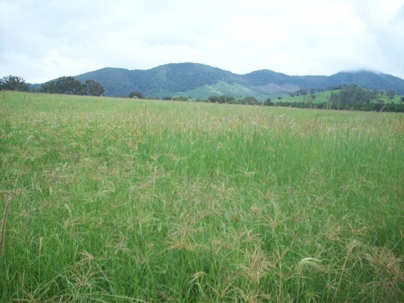 Glastonbury QLD 4570