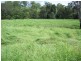 Glastonbury QLD 4570