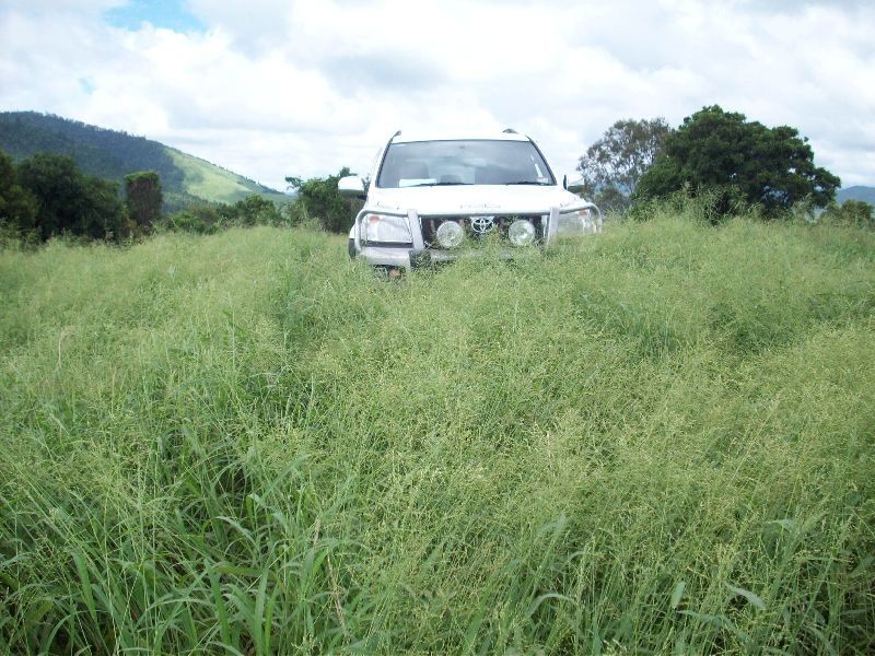 Glastonbury QLD 4570
