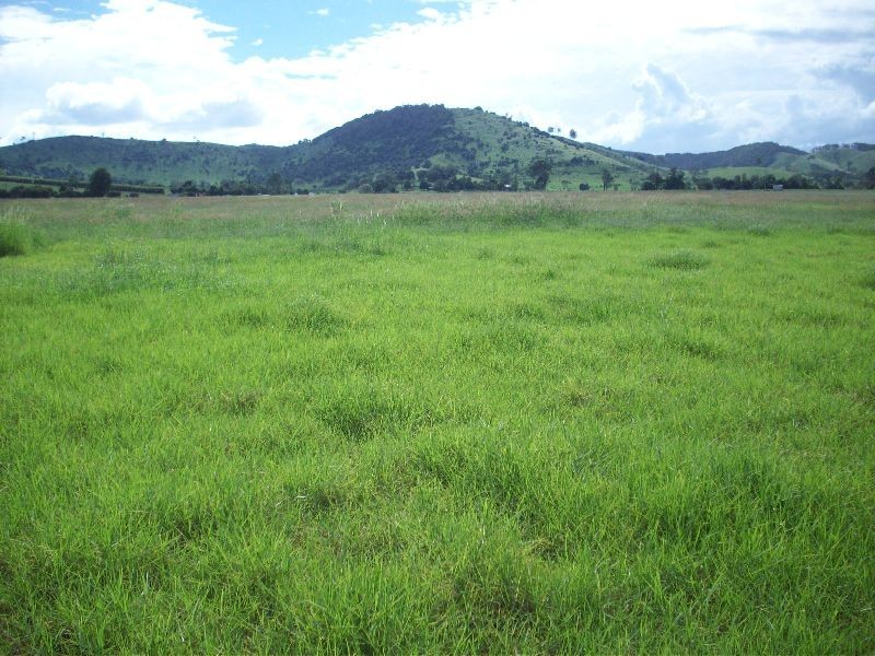 Kia Ora QLD 4570