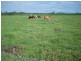 Kia Ora QLD 4570