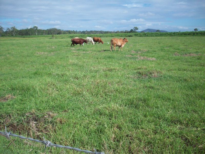 Kia Ora QLD 4570