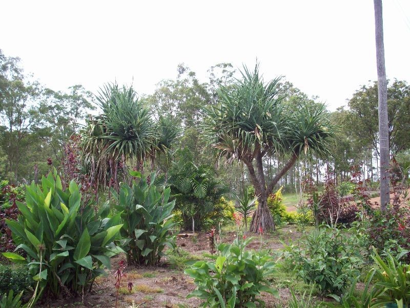 Tamaree QLD 4570