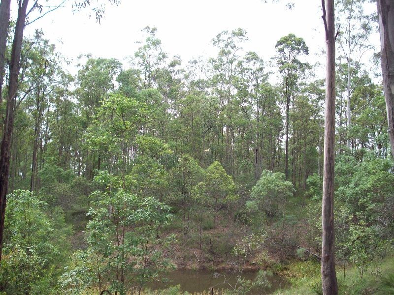 Tamaree QLD 4570