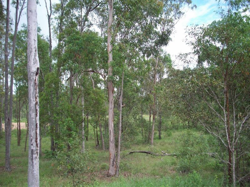 Curra QLD 4570