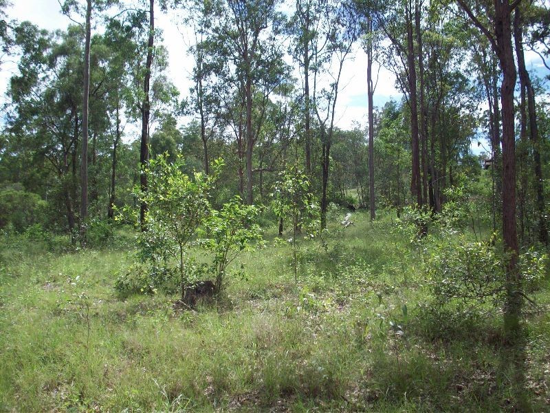 Curra QLD 4570