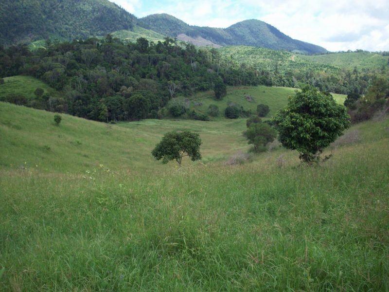 Glastonbury QLD 4570