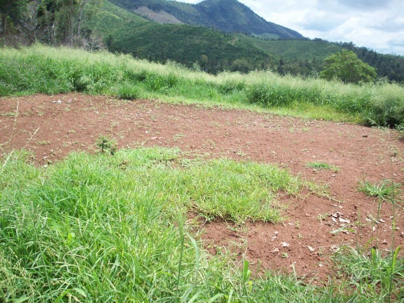 Glastonbury QLD 4570