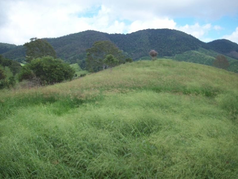 Glastonbury QLD 4570