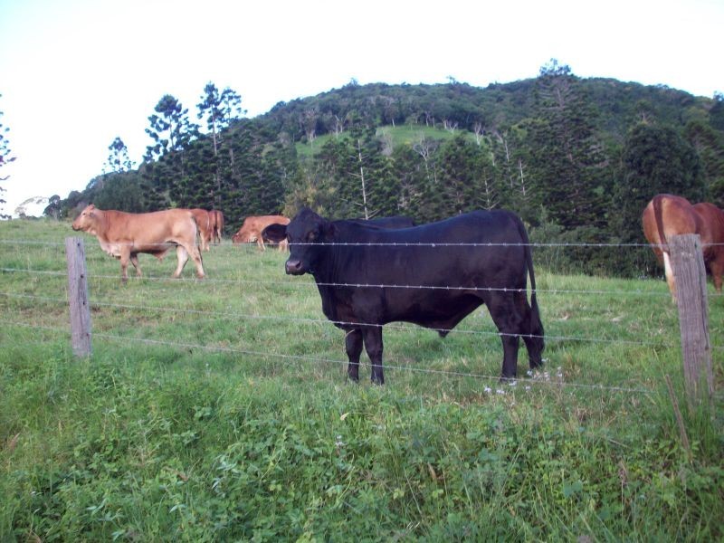 Goomboorian QLD 4570