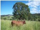 Veteran QLD 4570