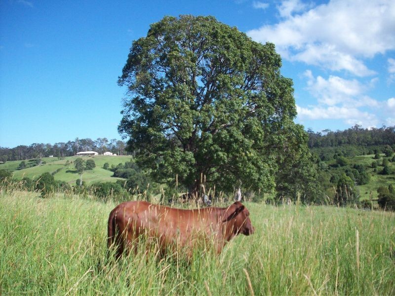 Veteran QLD 4570