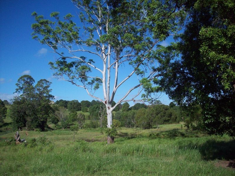 Veteran QLD 4570