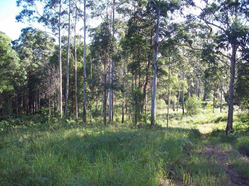 Wolvi QLD 4570