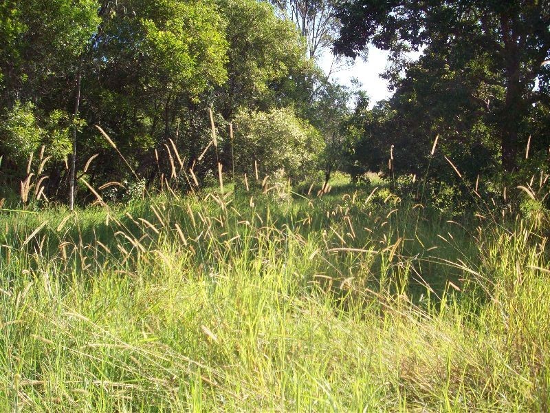 Wolvi QLD 4570