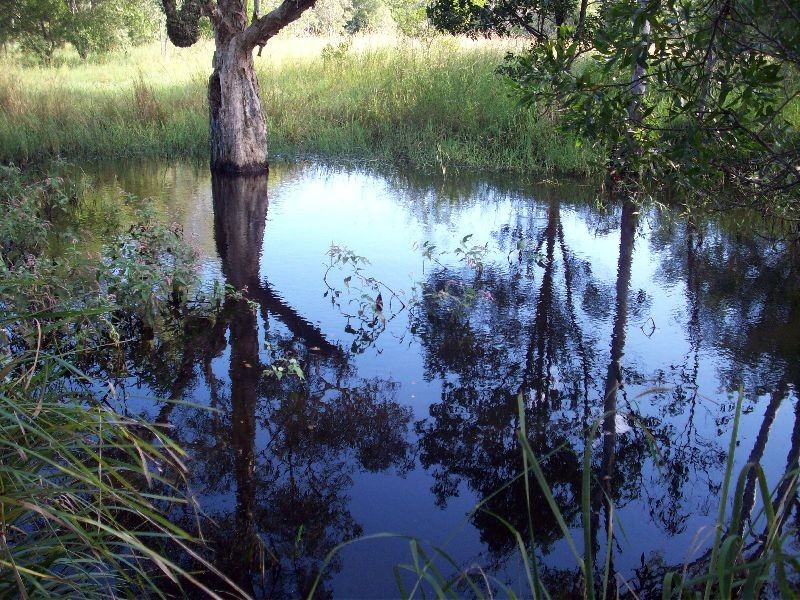 Wolvi QLD 4570