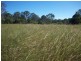 Wolvi QLD 4570