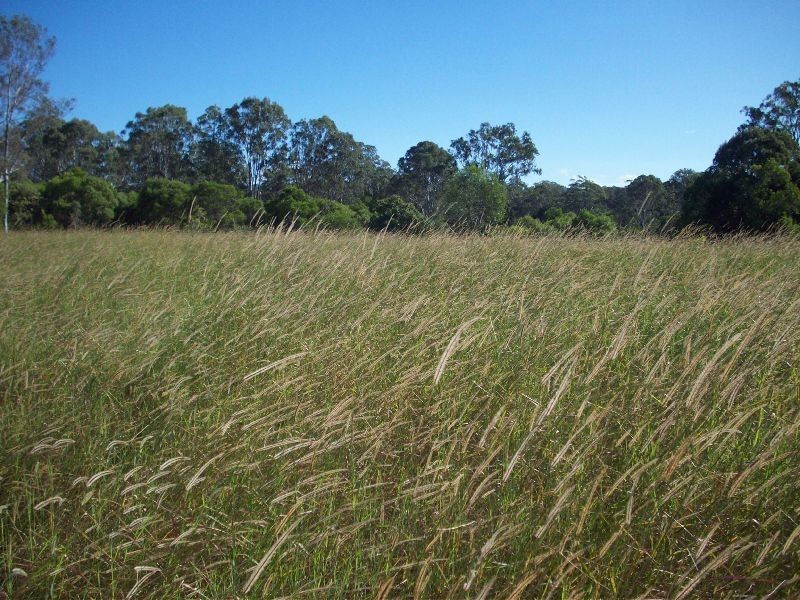 Wolvi QLD 4570