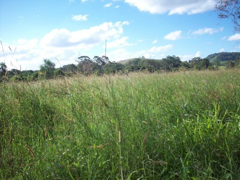 Wolvi QLD 4570