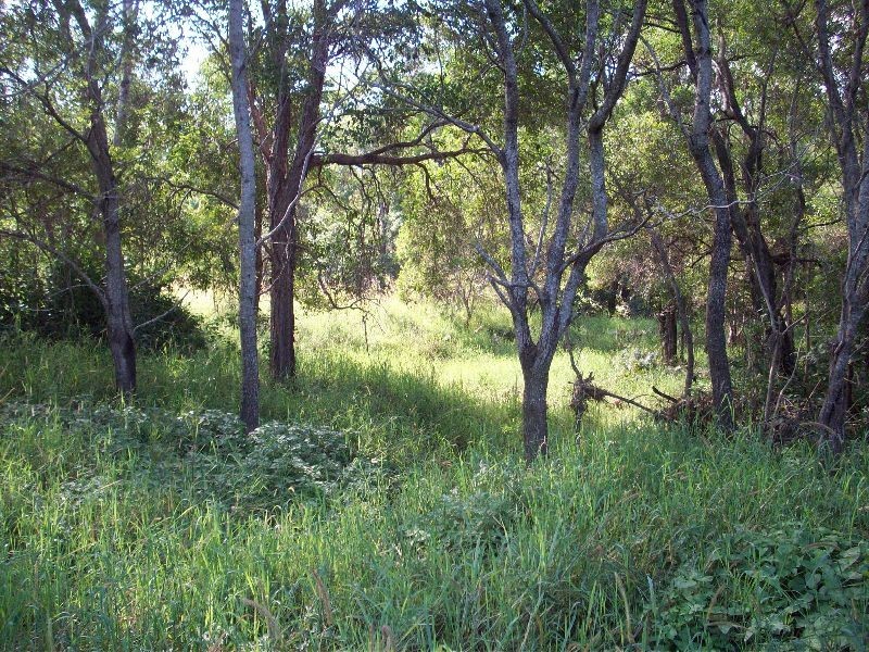 Wolvi QLD 4570