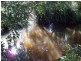Wolvi QLD 4570