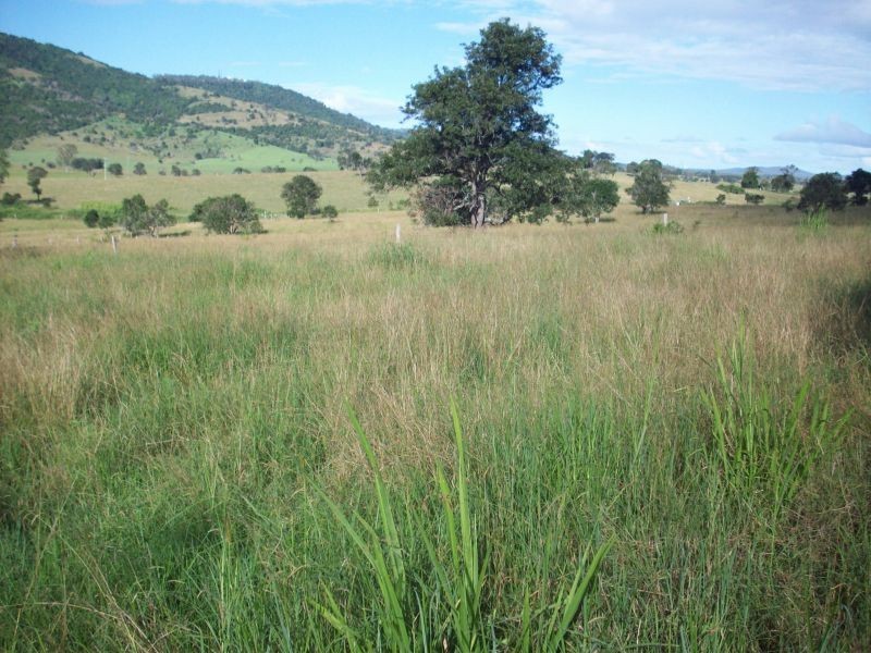 Gunalda QLD 4570
