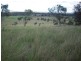 Gunalda QLD 4570