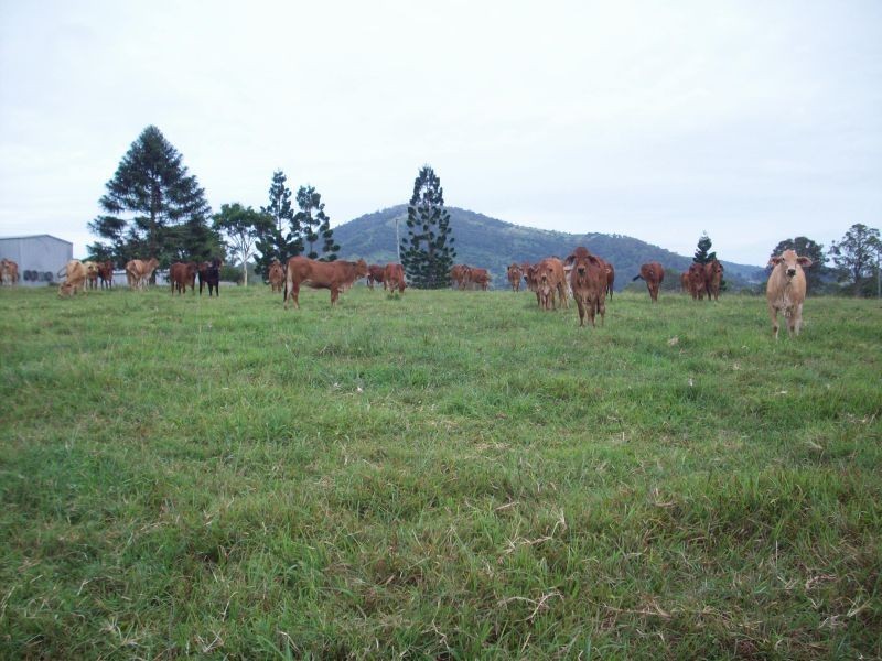 Goomboorian QLD 4570
