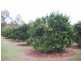 Widgee QLD 4570