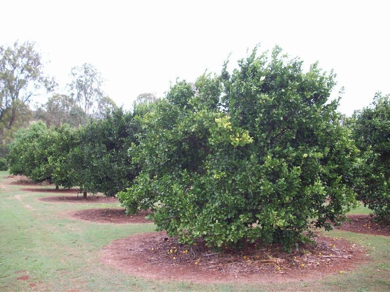 Widgee QLD 4570