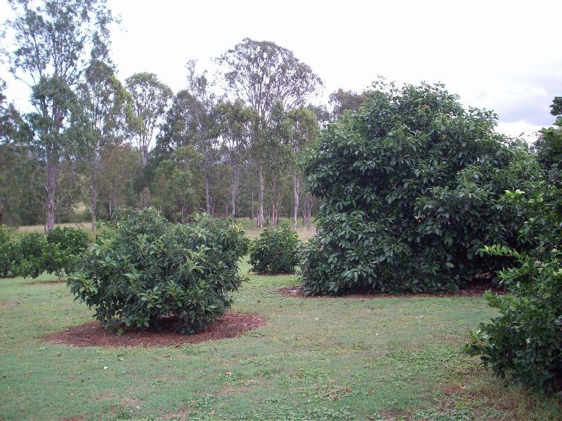 Widgee QLD 4570