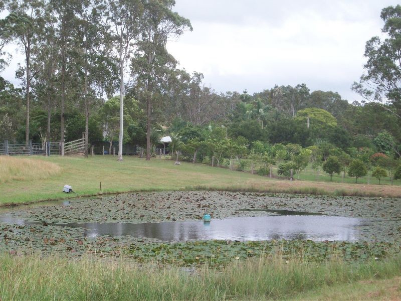 2610 Mary Valley Road, Kandanga QLD 4570
