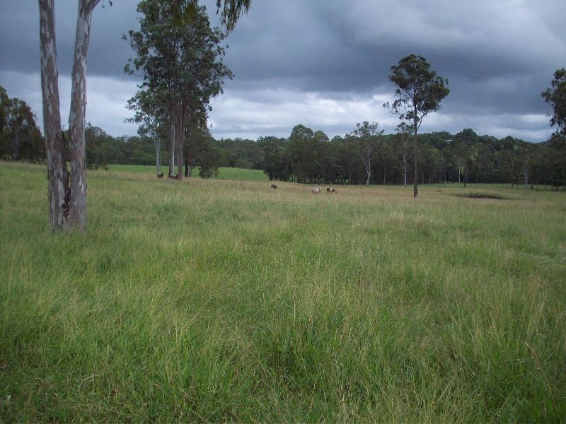 2610 Mary Valley Road, Kandanga QLD 4570