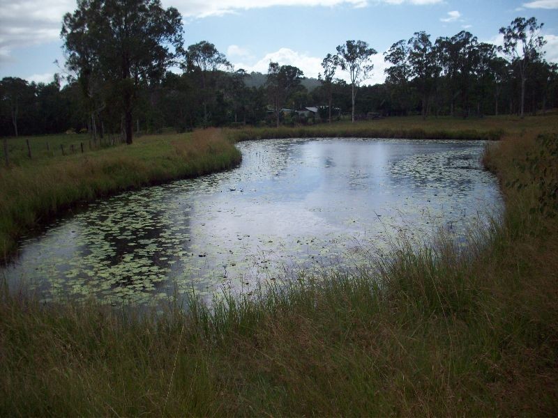 2610 Mary Valley Road, Kandanga QLD 4570