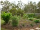 Cooloola Cove QLD 4580